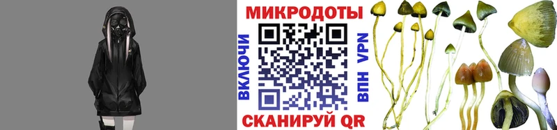 Псилоцибиновые грибы Cubensis  Касли 